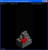 3D Tetris Screen Shot