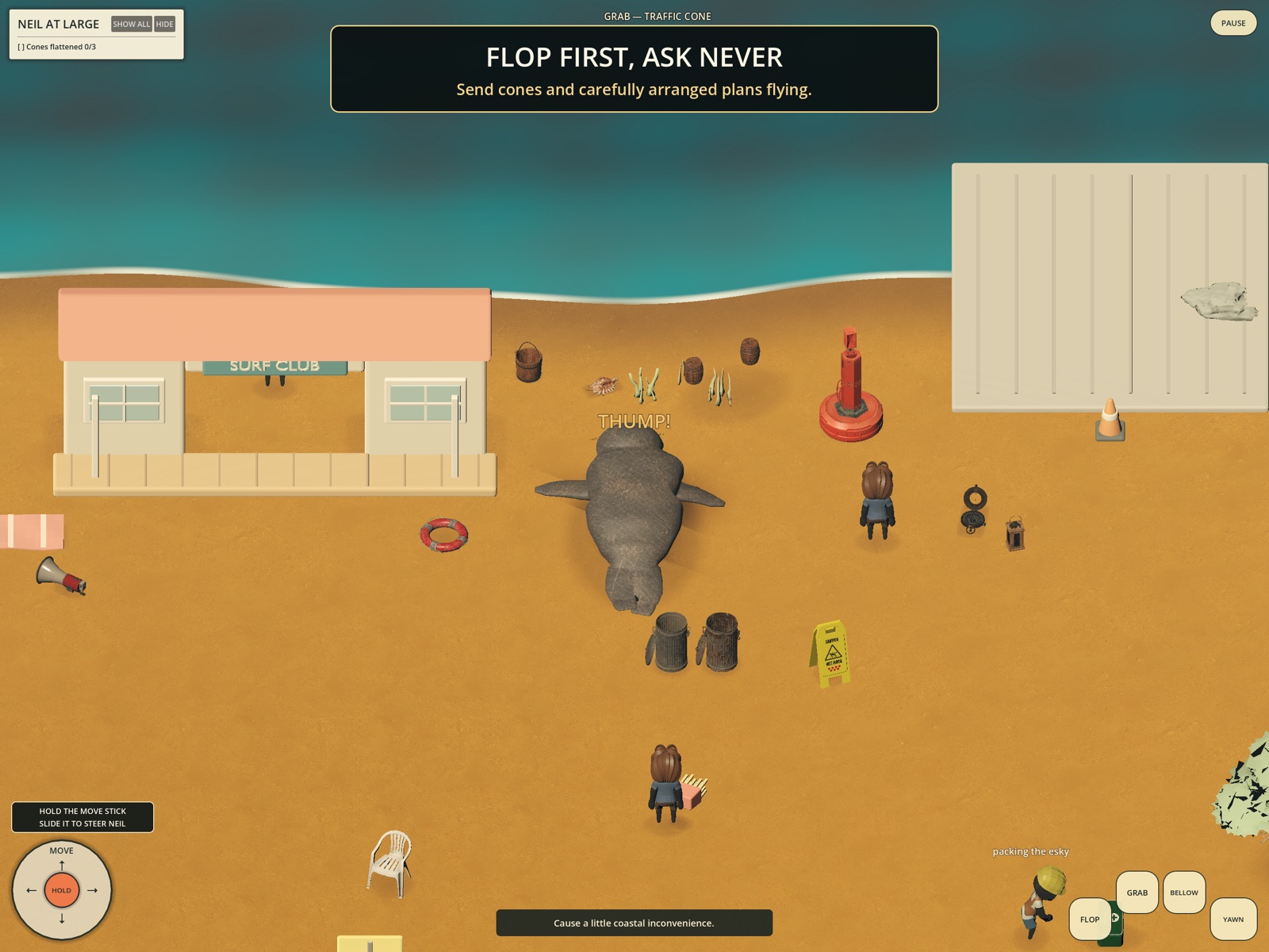 Neil the elephant seal flattening traffic cones